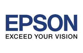 Epson cartridges